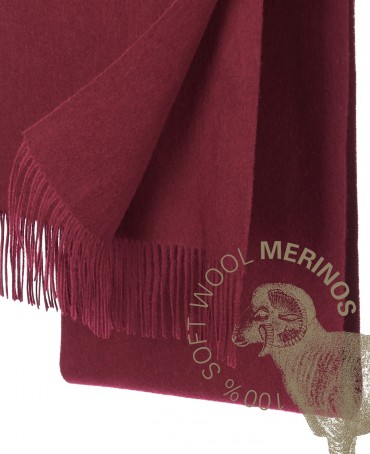 Шарф Унисекс FTQ.W220_5100222.49/BUR